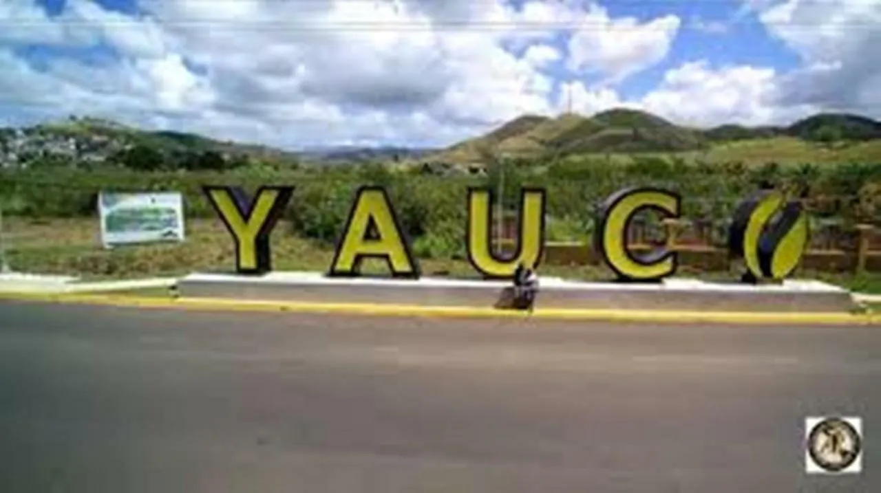 Holiday home Los Pinos House Yauco Puerto Rico
